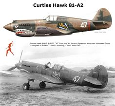 Curtiss Warhawk 2019 photo - 2