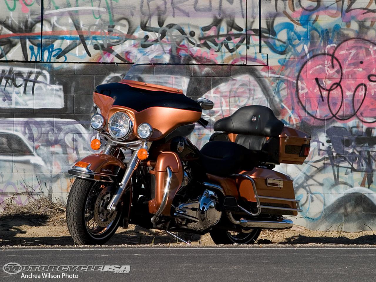 Harley-Davidson 1340 Softail Custom FXSTC (reduced effect) 1988 photo - 5