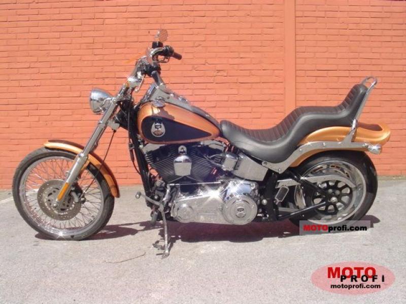 Harley-Davidson 1340 Softail Custom FXSTC 1991 photo - 6