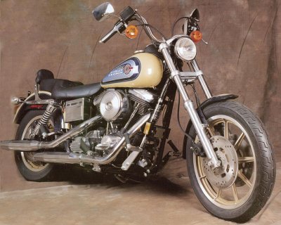 Harley-Davidson Dyna Glide Sturgis 1991 photo - 6