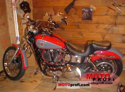 Harley-Davidson Dyna Low Rider 1996 photo - 6