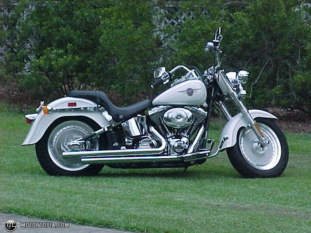 Harley-Davidson FLSTF Fat Boy 2003 photo - 3