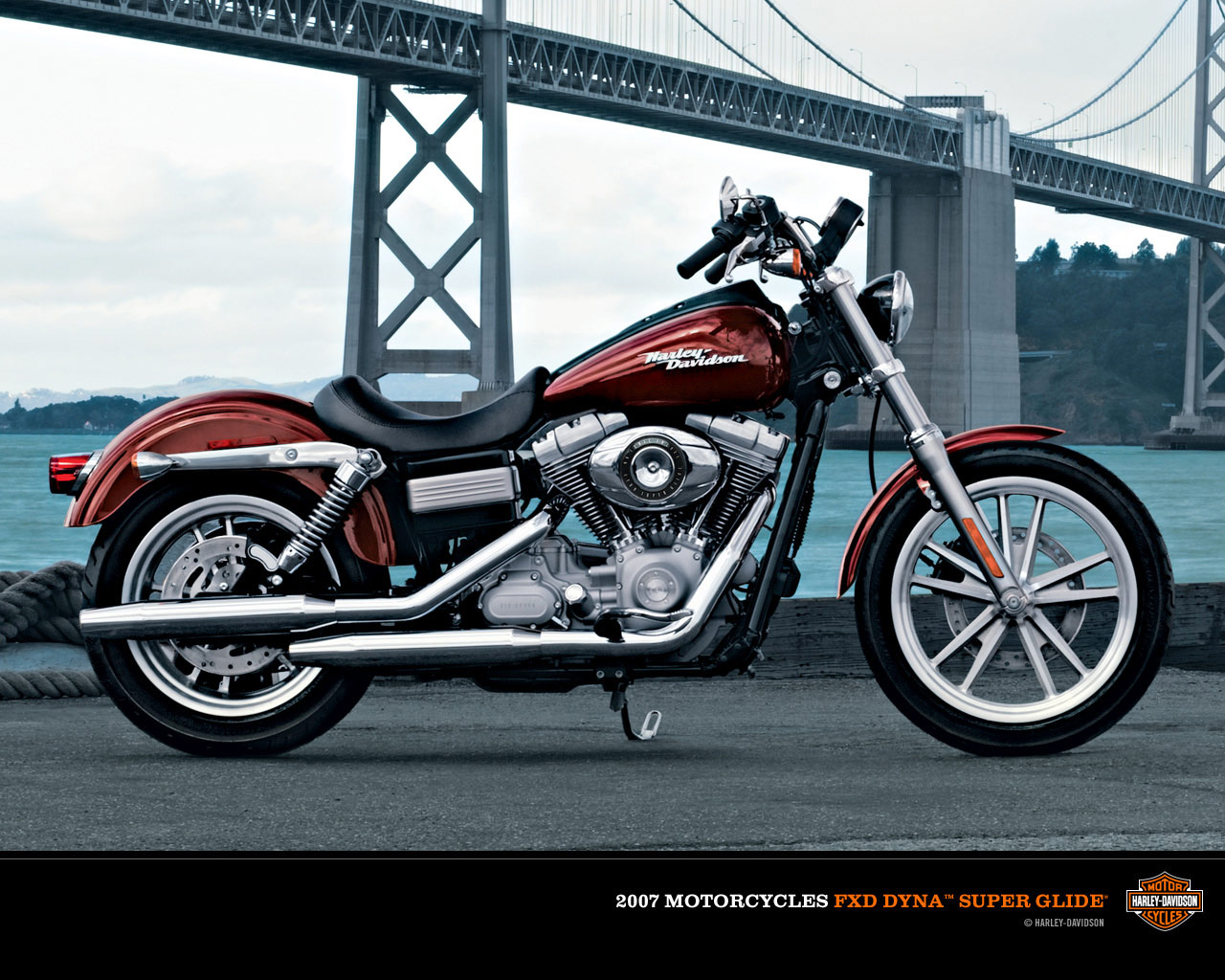 Harley-Davidson FXDL Dyna Low Rider 2003 photo - 3