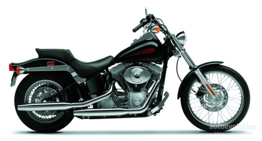 Harley-Davidson FXST Softail Standard 2000 photo - 6