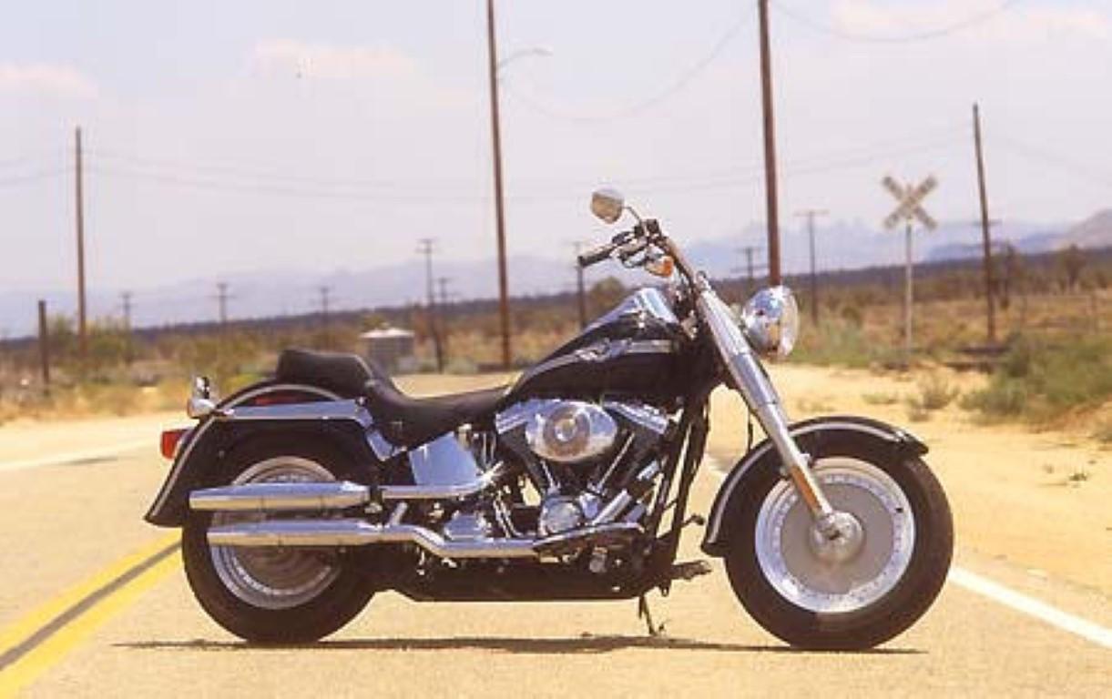 Harley-Davidson Fat Boy Injection 2001 photo - 2