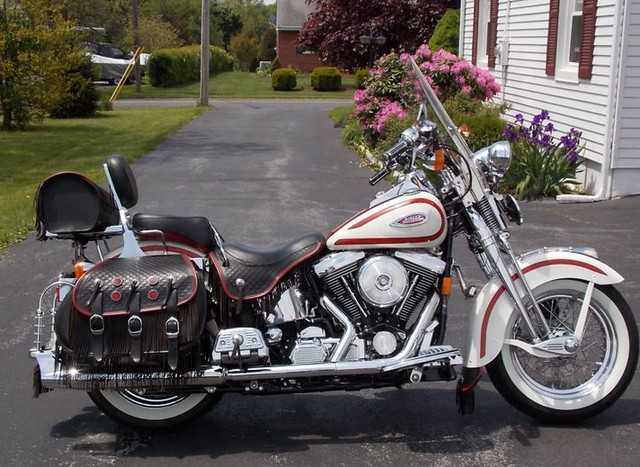 Harley-Davidson Softail Springer 1997 photo - 3