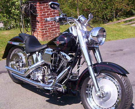 Harley-Davidson Softail Standard 1999 photo - 3