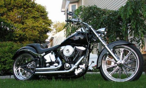 Harley-Davidson Softail Standard 2001 photo - 2