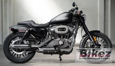 Harley-Davidson Sportster Roadster Dark Custom 2018 photo - 1