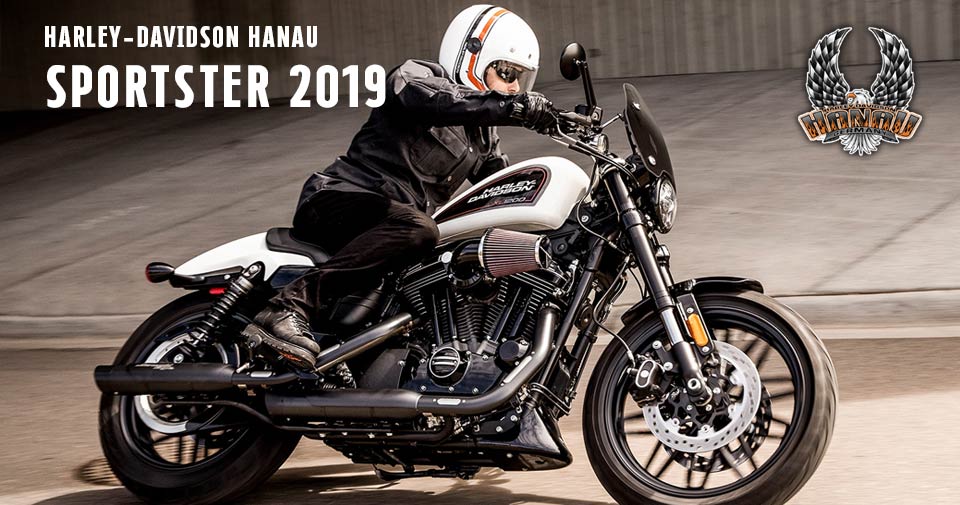 Harley-Davidson Sportster Superlow 2019 photo - 1
