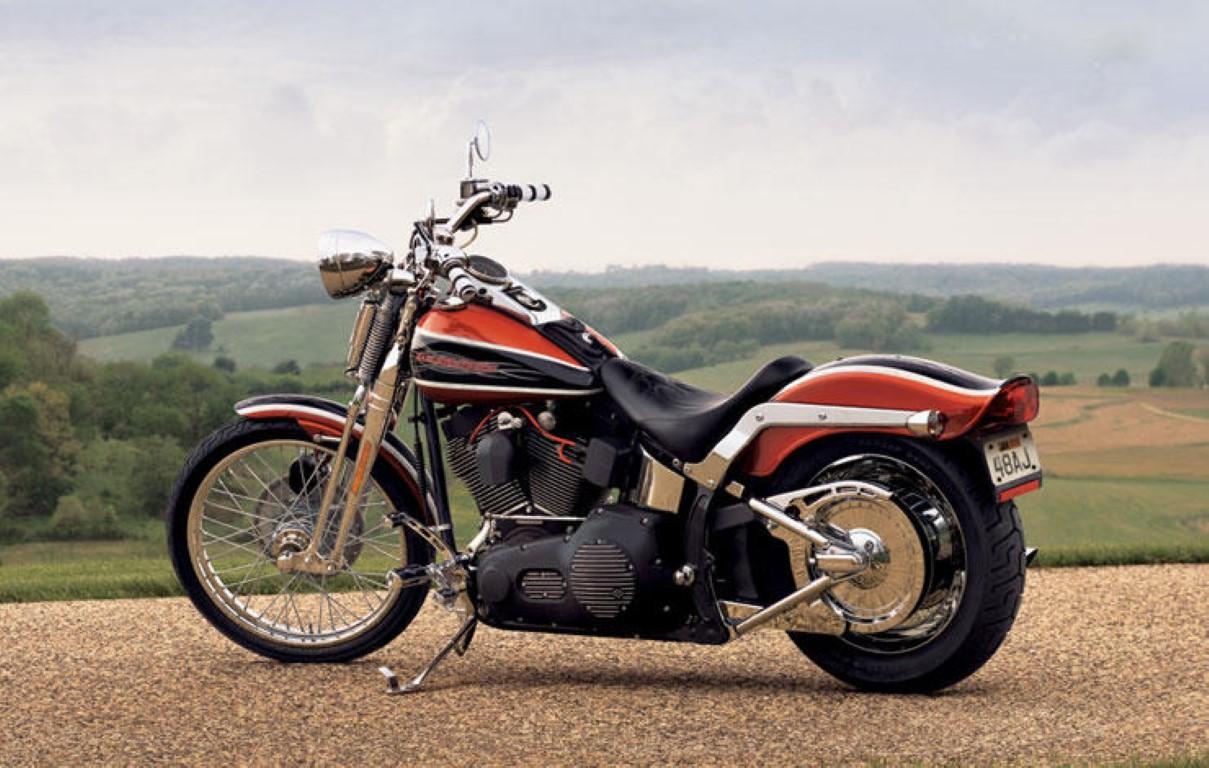 Harley-Davidson Springer Softail 1991 photo - 1
