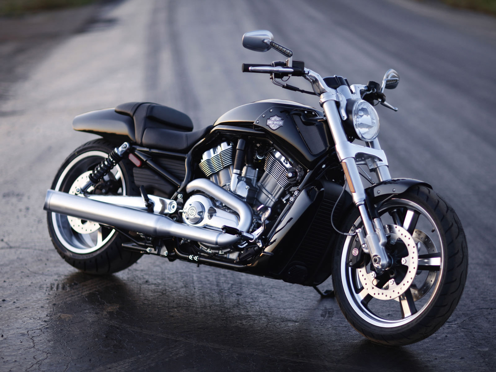 Harley-Davidson VRSCF V-Rod Muscle 1250cc photo - 3