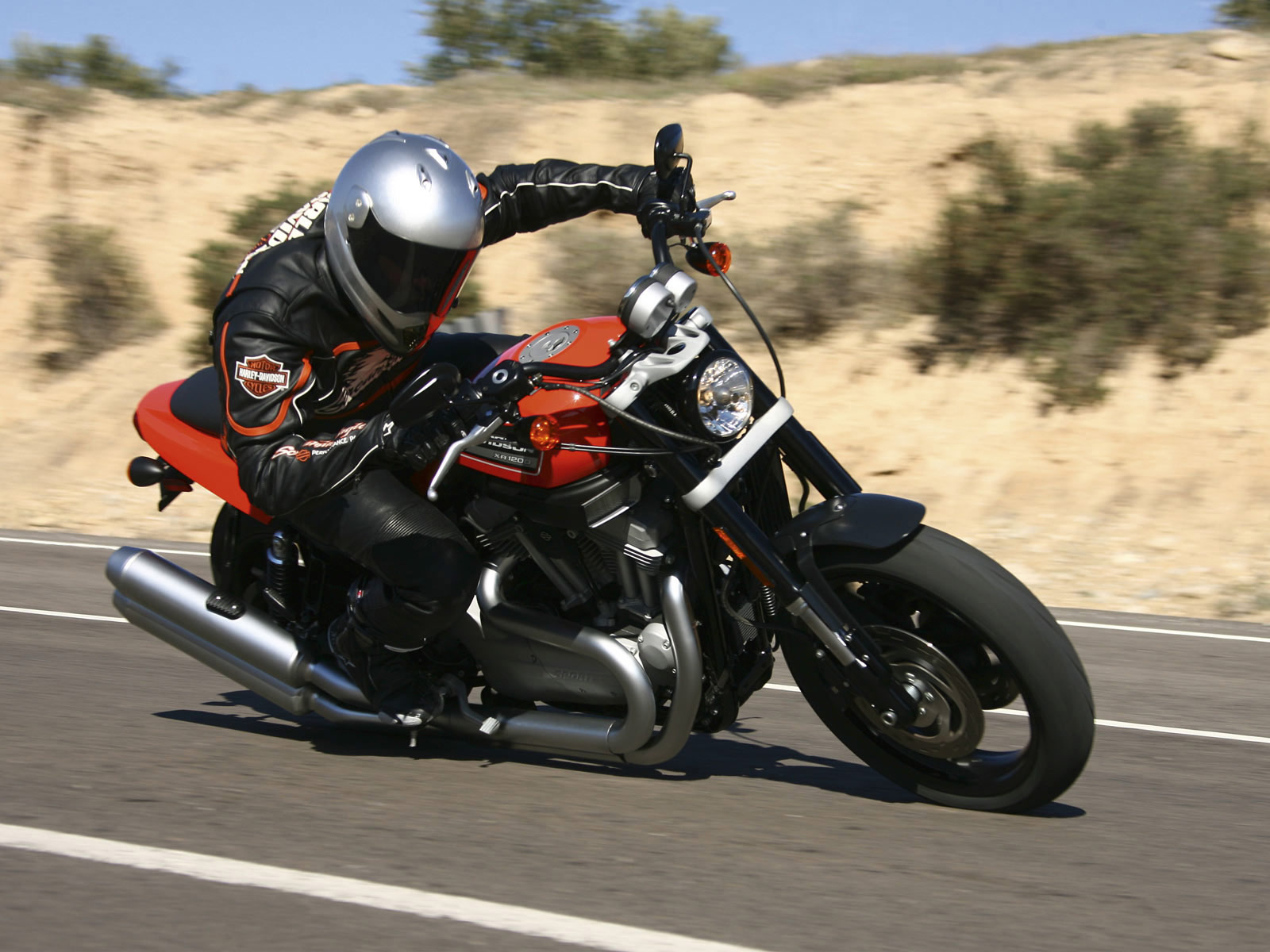 Harley-Davidson XR 1200 XR 1200 photo - 1