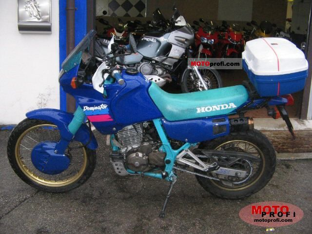 Honda NX 650 Dominator (reduced effect) 1989 photo - 3