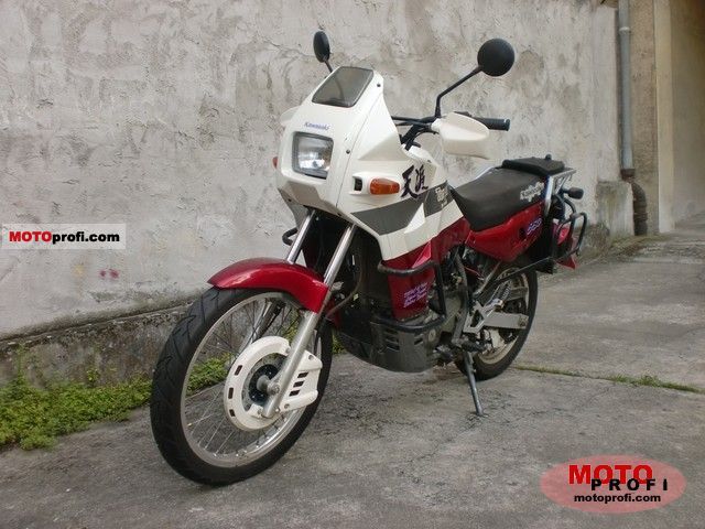 Kawasaki EN 500 (reduced effect) 1992 photo - 1