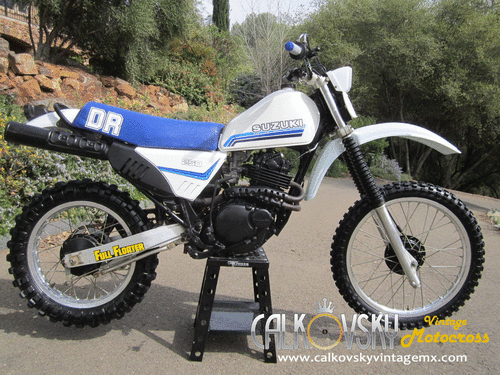 Suzuki DR 250 S 1982 photo - 6