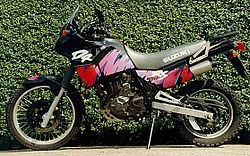 Suzuki DR 650 RSE 1991 photo - 1