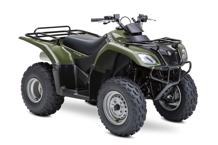 Suzuki Ozark 250 2017 photo - 2