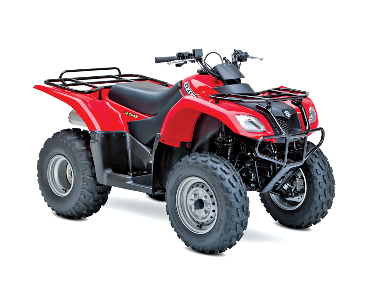 Suzuki Ozark 250 2017 photo - 4