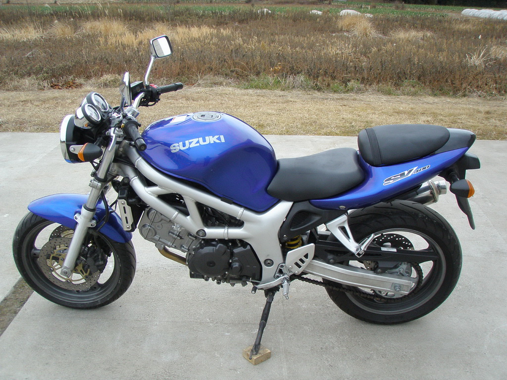 Suzuki SV400 1998 photo - 2