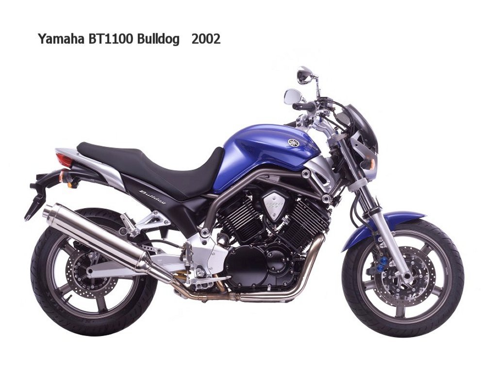 Yamaha BT 1100 Bulldog 2002 photo - 3