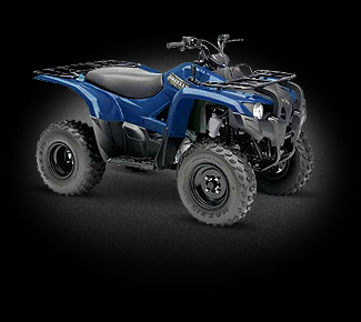 Yamaha Grizzly 300 Grizzly 300 photo - 6