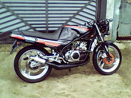 Yamaha RD 350 F 1988 photo - 3