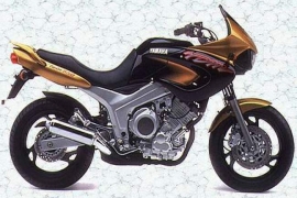 Yamaha TDM 850 1991 photo - 2