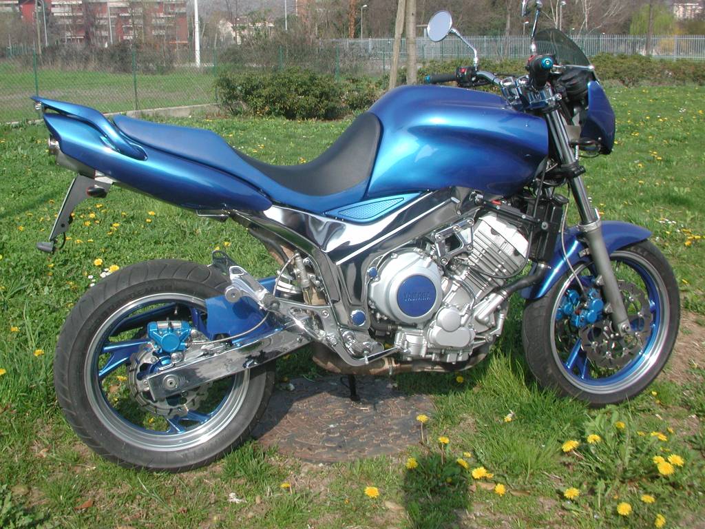 Yamaha TDM 850 2001 photo - 3