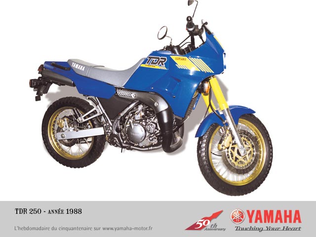 Yamaha TDR 250 1988 photo - 1