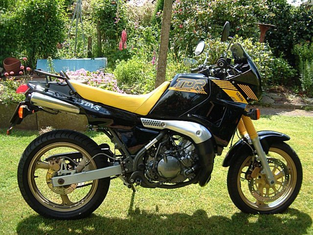 Yamaha TDR 250 1989 photo - 4