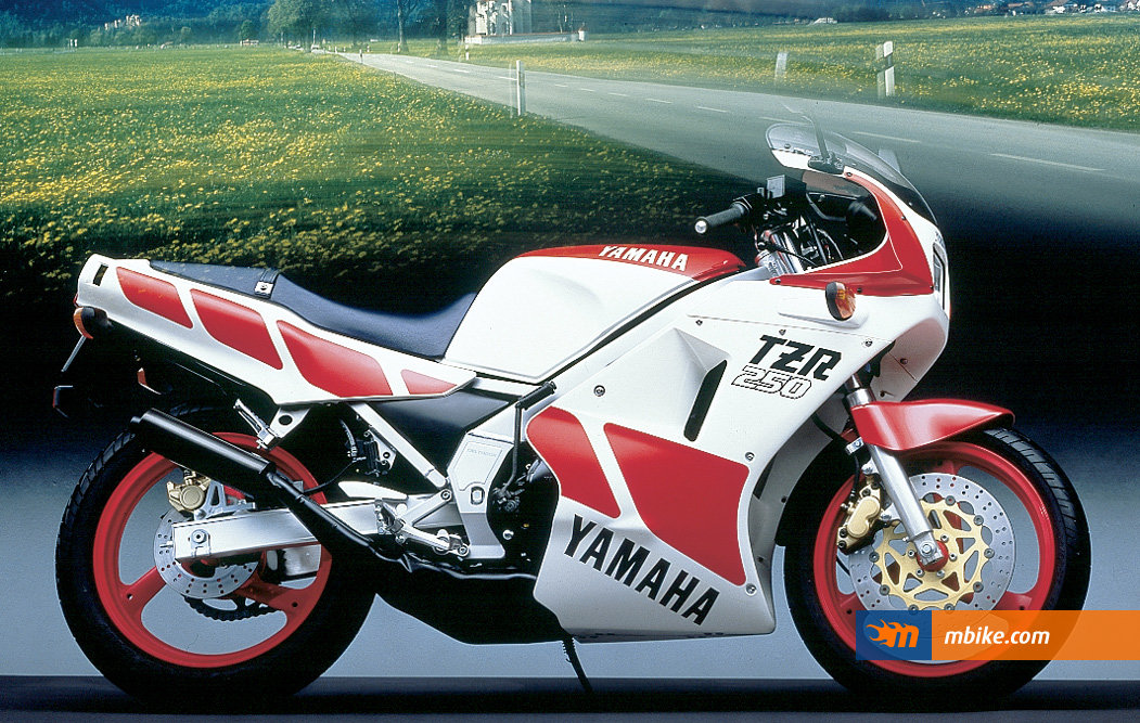 Yamaha TZR 250 1987 photo - 2