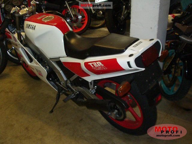 Yamaha TZR 250 1990 photo - 1