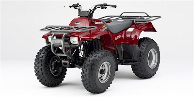 Arctic Cat 250 2×4 2006