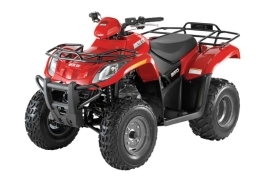 Arctic Cat 250 2×4 Automatic 2007