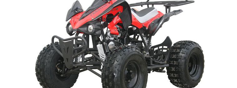 Bison Raptor 150 Sport 150cc